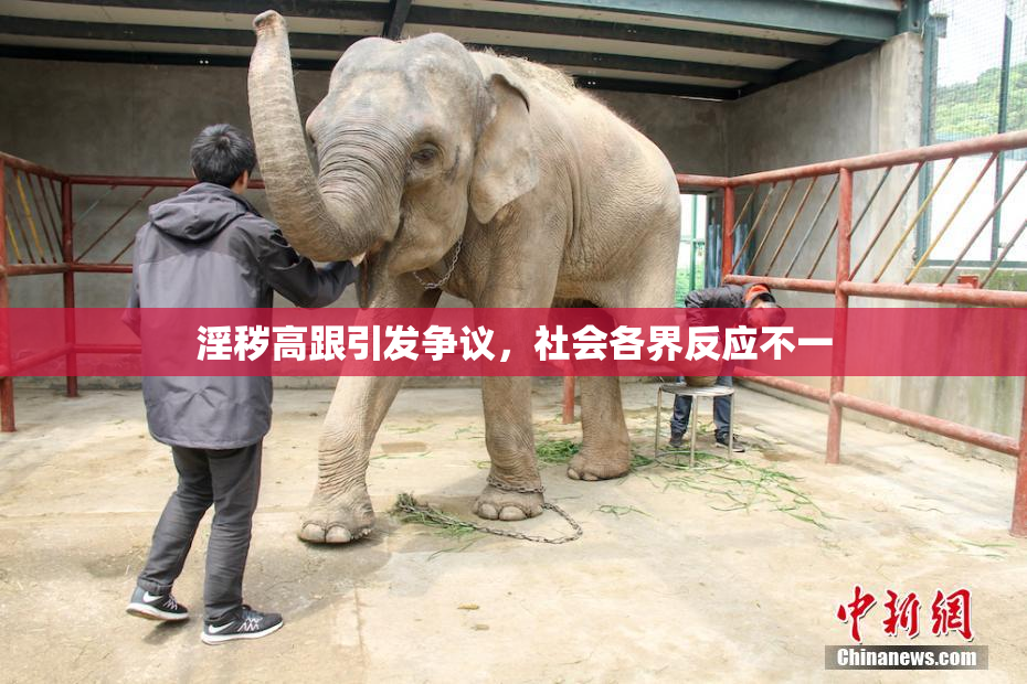 淫秽高跟引发争议，社会各界反应不一