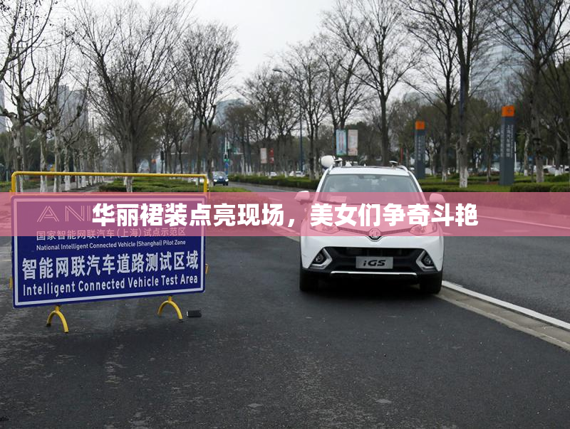 华丽裙装点亮现场，美女们争奇斗艳