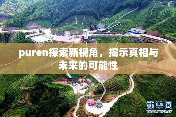 puren探索新视角，揭示真相与未来的可能性
