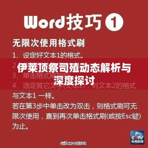 伊莱顶祭司殖动态解析与深度探讨