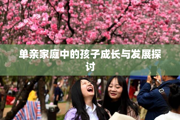单亲家庭中的孩子成长与发展探讨