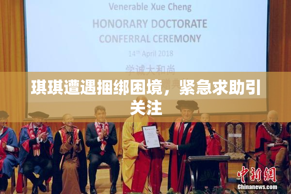 琪琪遭遇捆绑困境，紧急求助引关注