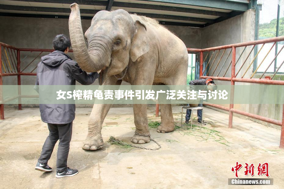 女S榨精龟责事件引发广泛关注与讨论