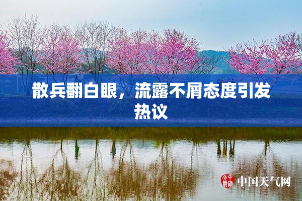 散兵翻白眼，流露不屑态度引发热议