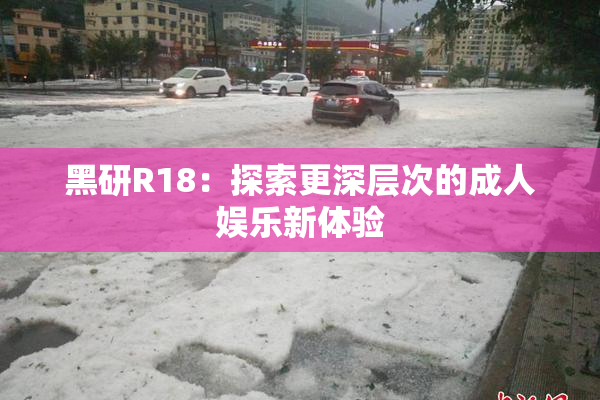 黑研R18：探索更深层次的成人娱乐新体验