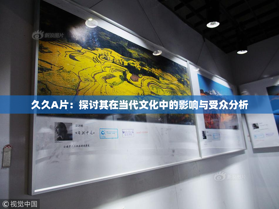 久久A片：探讨其在当代文化中的影响与受众分析
