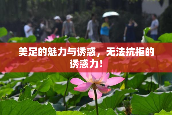 美足的魅力与诱惑，无法抗拒的诱惑力！