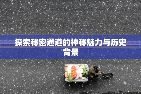 探索秘密通道的神秘魅力与历史背景