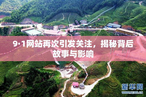 9·1网站再次引发关注，揭秘背后故事与影响