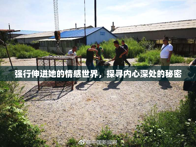 强行伸进她的情感世界，探寻内心深处的秘密
