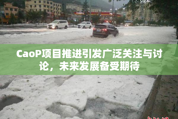 CaoP项目推进引发广泛关注与讨论，未来发展备受期待