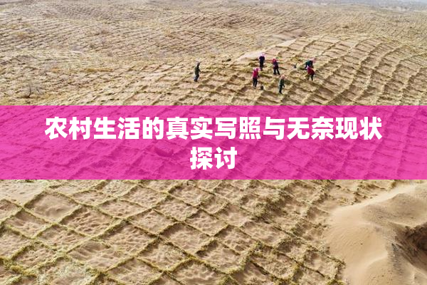 农村生活的真实写照与无奈现状探讨