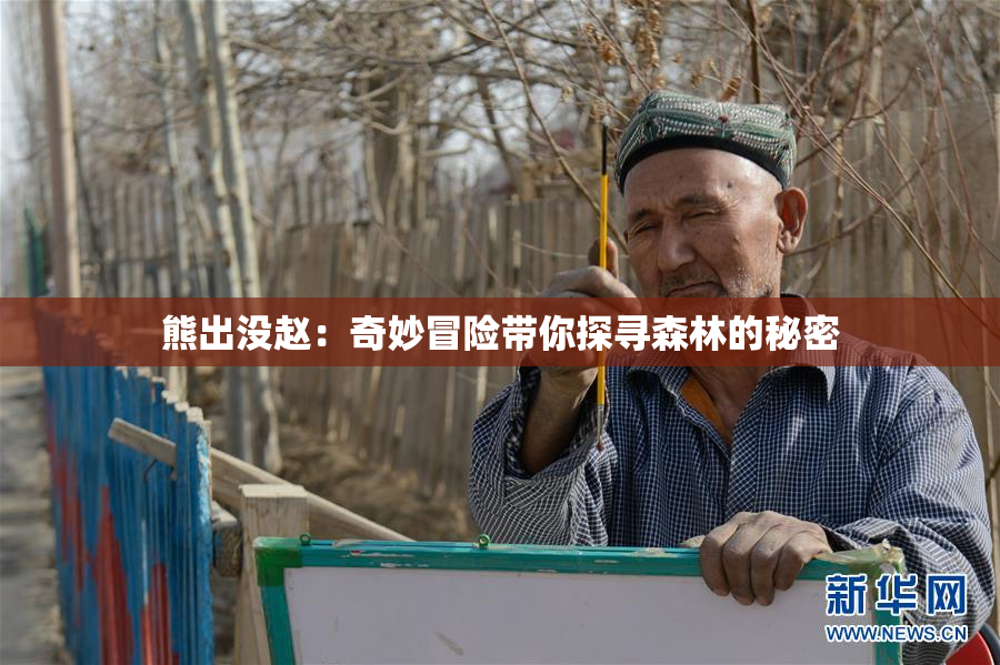 熊出没赵：奇妙冒险带你探寻森林的秘密