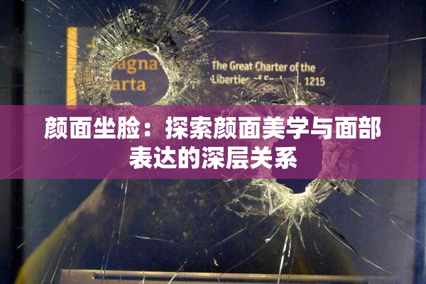 颜面坐脸：探索颜面美学与面部表达的深层关系