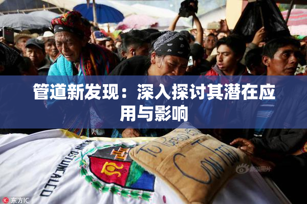 管道新发现：深入探讨其潜在应用与影响