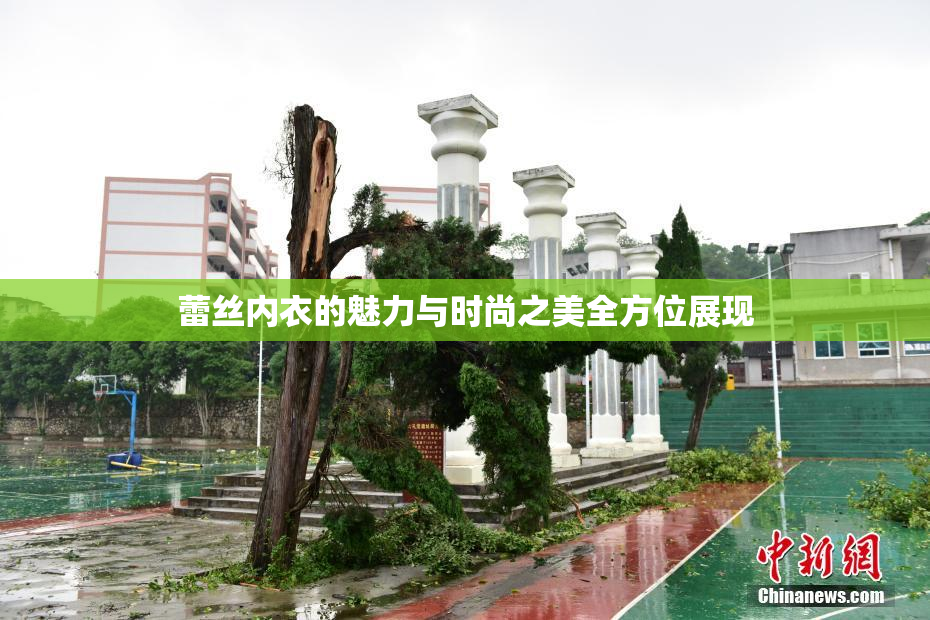 蕾丝内衣的魅力与时尚之美全方位展现