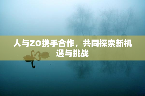 人与ZO携手合作，共同探索新机遇与挑战