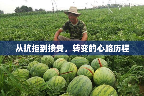 从抗拒到接受，转变的心路历程