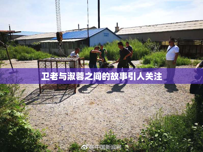 卫老与淑蓉之间的故事引人关注