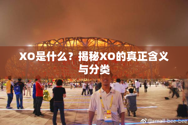 XO是什么？揭秘XO的真正含义与分类