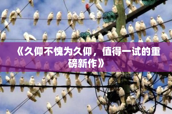 《久仰不愧为久仰，值得一试的重磅新作》