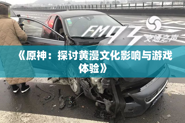 《原神：探讨黄漫文化影响与游戏体验》