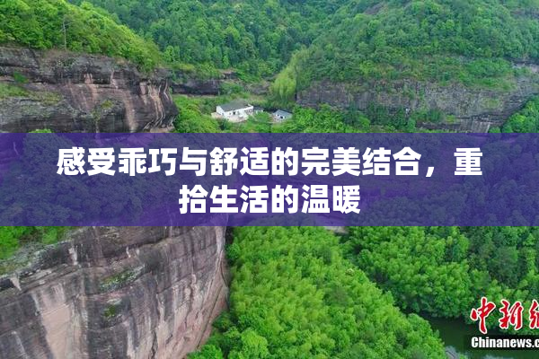感受乖巧与舒适的完美结合，重拾生活的温暖