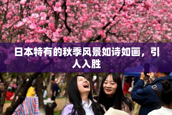 日本特有的秋季风景如诗如画，引人入胜