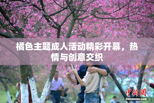 橘色主题成人活动精彩开幕，热情与创意交织