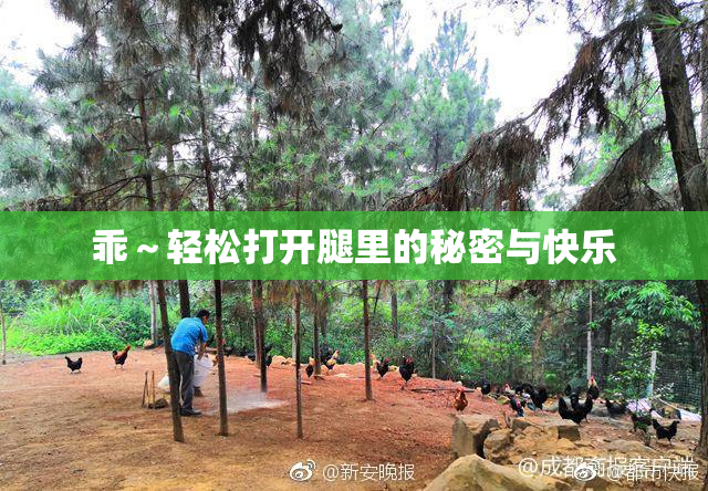 乖～轻松打开腿里的秘密与快乐