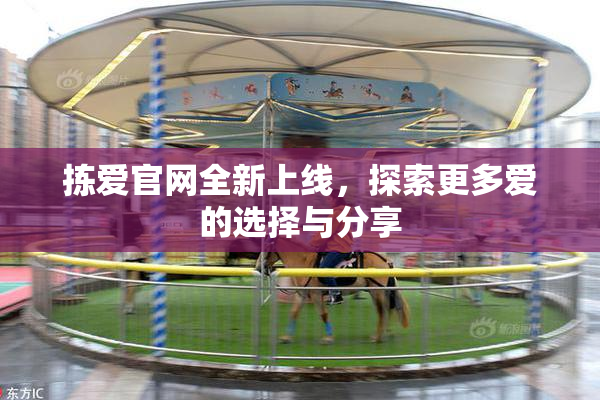 拣爱官网全新上线，探索更多爱的选择与分享