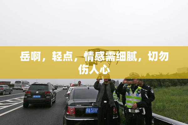 岳啊，轻点，情感需细腻，切勿伤人心