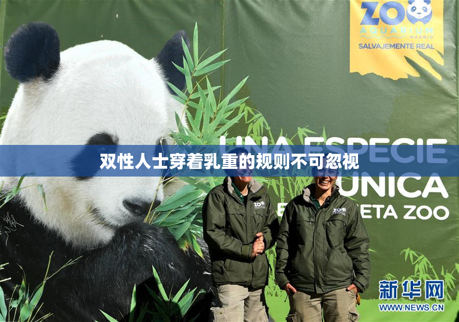 双性人士穿着乳重的规则不可忽视