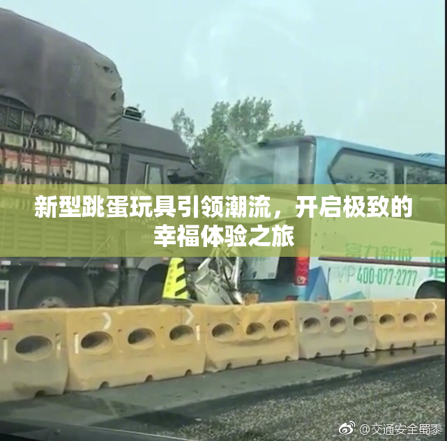 新型跳蛋玩具引领潮流，开启极致的幸福体验之旅