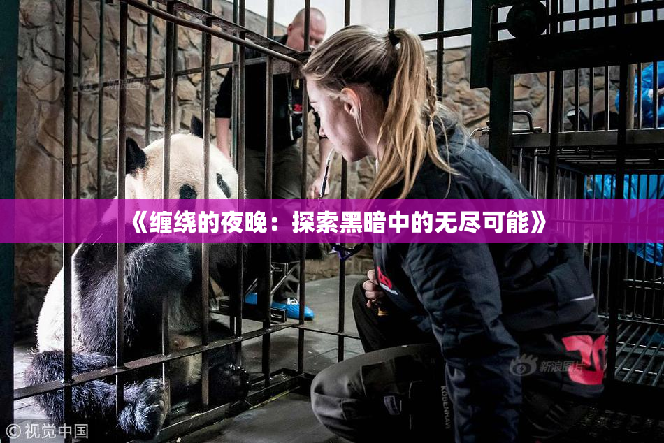 《缠绕的夜晚：探索黑暗中的无尽可能》