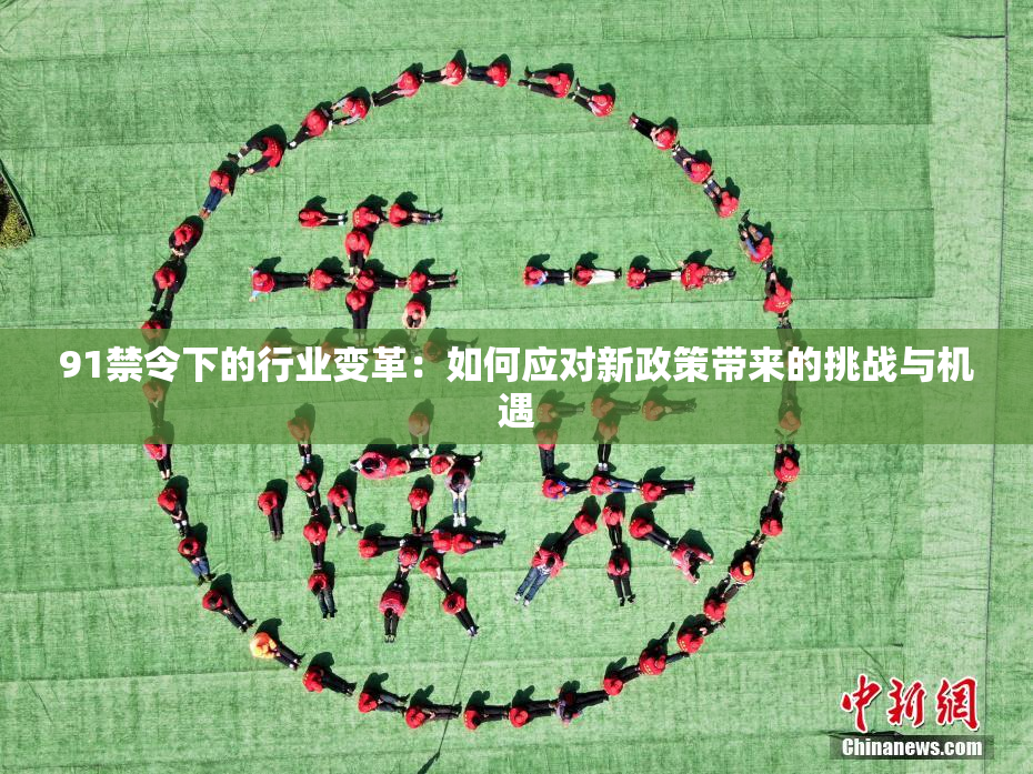91禁令下的行业变革：如何应对新政策带来的挑战与机遇