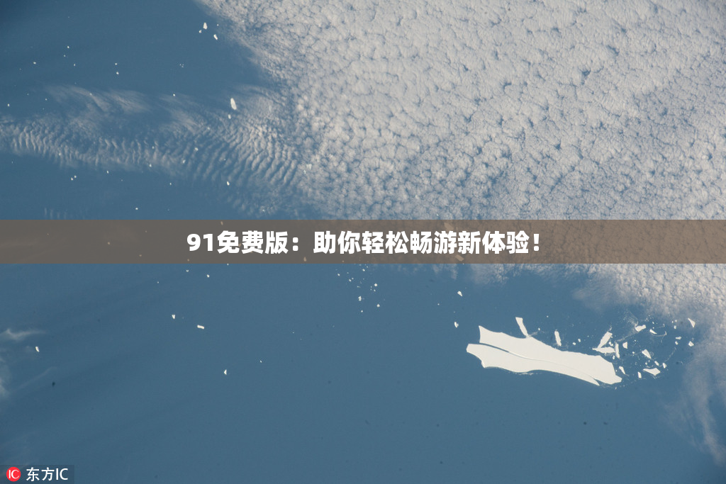 91免费版：助你轻松畅游新体验！