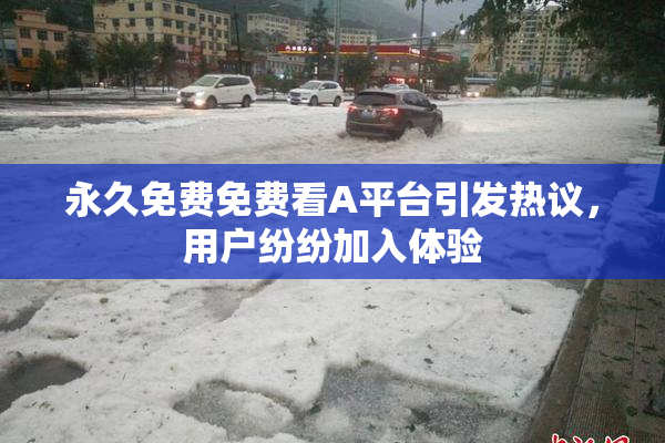 永久免费免费看A平台引发热议，用户纷纷加入体验