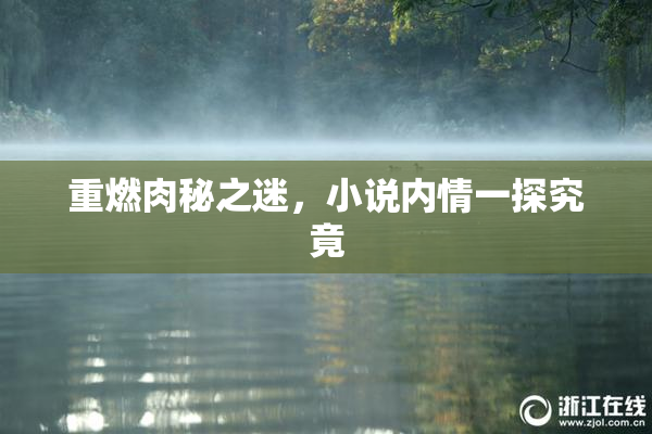 重燃肉秘之迷，小说内情一探究竟