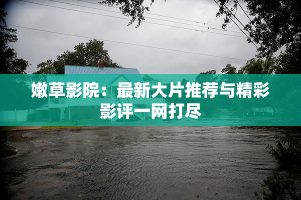 嫩草影院：最新大片推荐与精彩影评一网打尽