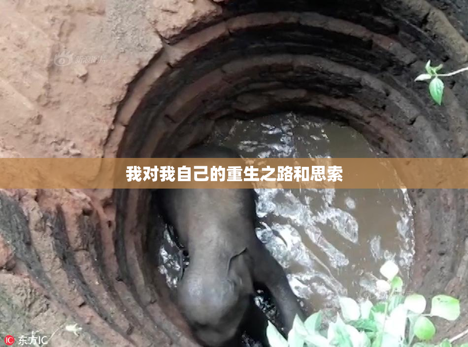我对我自己的重生之路和思索