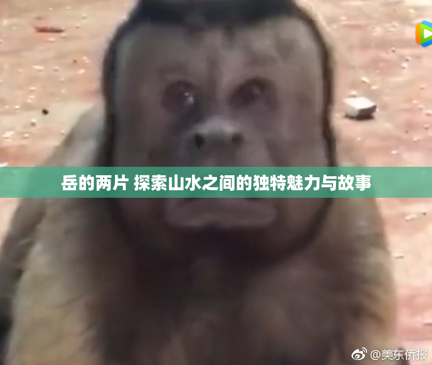 岳的两片 探索山水之间的独特魅力与故事