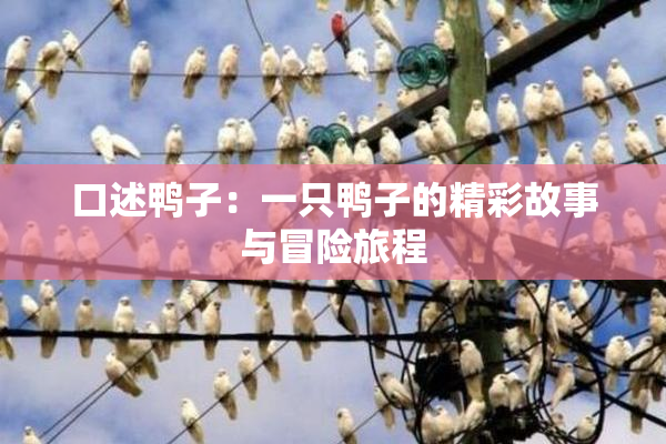 口述鸭子：一只鸭子的精彩故事与冒险旅程