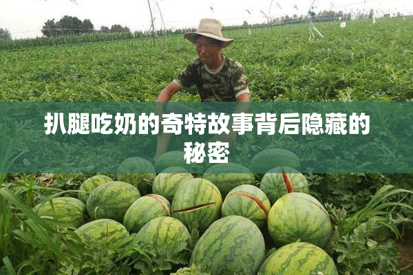 扒腿吃奶的奇特故事背后隐藏的秘密