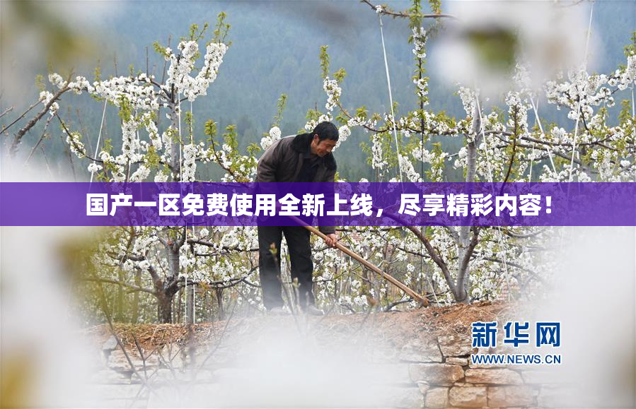 国产一区免费使用全新上线，尽享精彩内容！
