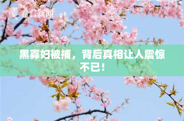 黑寡妇被捕，背后真相让人震惊不已！