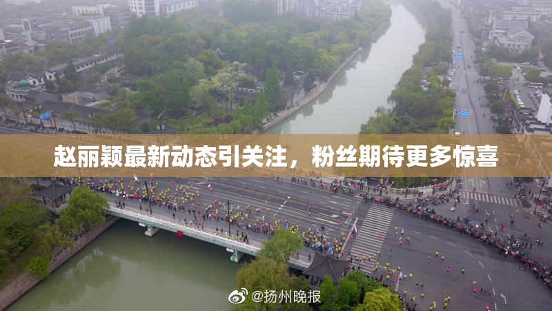 赵丽颖最新动态引关注，粉丝期待更多惊喜