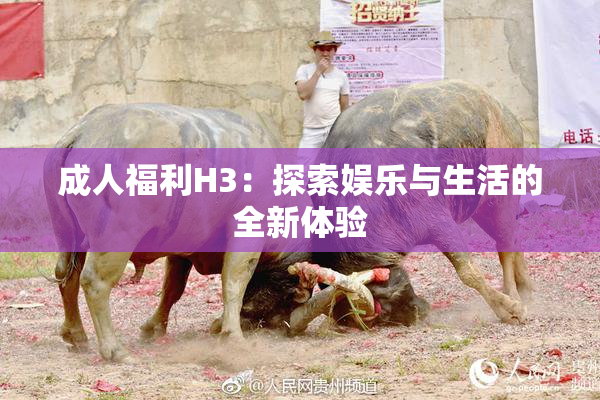 成人福利H3：探索娱乐与生活的全新体验