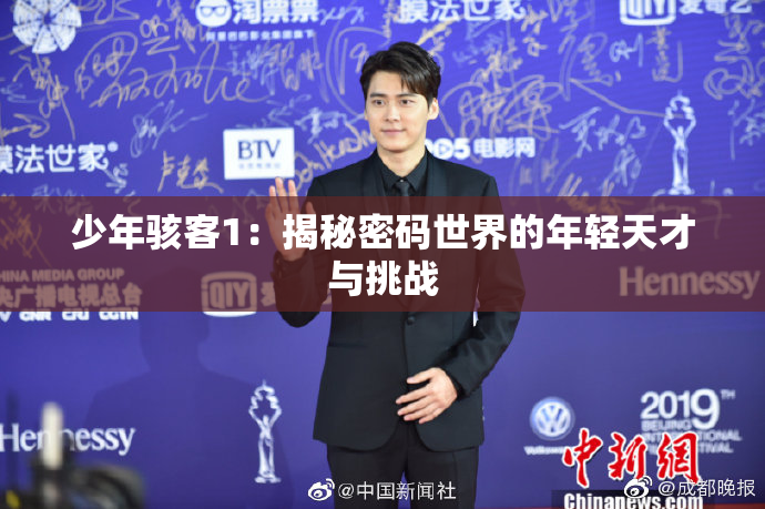 少年骇客1：揭秘密码世界的年轻天才与挑战