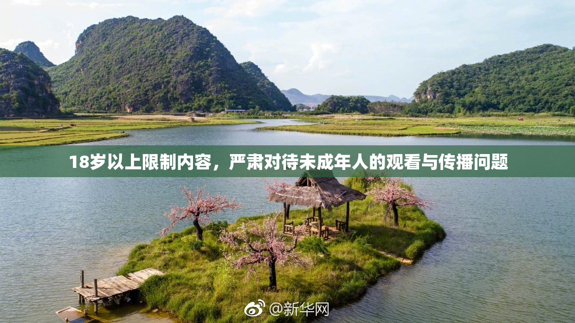 18岁以上限制内容，严肃对待未成年人的观看与传播问题